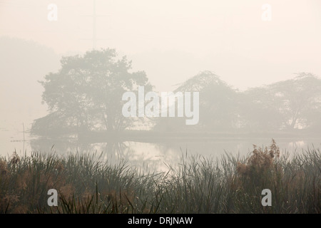 La scadente qualità dell'aria al di sopra della Okhla Bird Sanctuary, il santuario degli uccelli sul fiume Yamuna, a Delhi, India Foto Stock