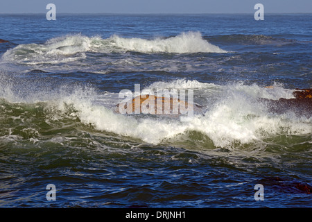 Mare tempestoso nella roccia di Bird Island, Lamberts Bay, Western Cape, West Cape, Sud Africa, Africa, stuermische vedere un den Felse Foto Stock