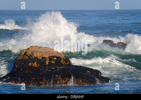 Mare tempestoso nella roccia di Bird Island, Lamberts Bay, Western Cape, West Cape, Sud Africa, Africa, stuermische vedere un den Felse Foto Stock