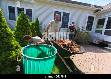 Paesaggisti deselezionando le erbacce in un cestino in un giardino di casa e li porta lontano in una carriola Foto Stock