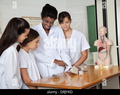 Insegnante rivolta alla pietra mentre spiegando agli studenti Foto Stock