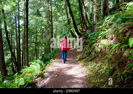 Donna trekking sul sentiero forestale in Oregon Coast intervallo vicino Tillamook (MR) Foto Stock