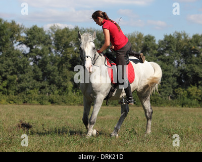 Femmina giovane cavaliere montato su un purosangue grigio castrazione cavallo andando ad anello di formazione Foto Stock