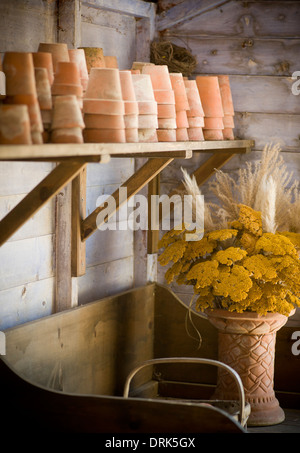 Vasi di piante di terracotta accatastati su una mensola di capannone di vasellame Foto Stock