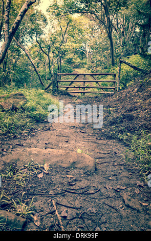 Un fangoso giungla tropicale sentiero che conduce ad un cancello in distanza. Foto Stock