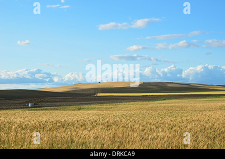Paese spagnolo paesaggio in primavera Foto Stock