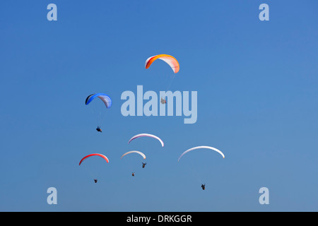 Gruppo di parapendio in volo con ali colorate / tettoie contro il cielo blu Foto Stock