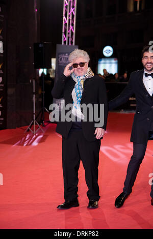 Madrid, Spagna. 27 gennaio, 2014. L'attrice pone il photocall di Feroz Awards, premiato dall'Associazione dei widget di pellicola in Spagna. Tenuto a Callao cinema di Madrid. Foto: Oscar Gonzalez/NurPhoto Credito: Oscar Gonzalez/NurPhoto/ZUMAPRESS.com/Alamy Live News Foto Stock