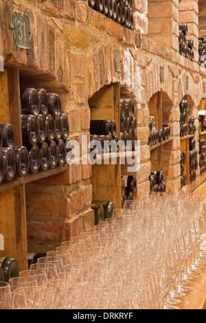 BRATISLAVA, Slovacchia - 23 gennaio 2014: interno della cantina di vini di grande produttore slovacco. Foto Stock