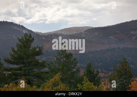 Condizioni di nebbia da La Cloche Silhouette Trail a Killarney Provincial Park, Ontario, Canada. Foto Stock