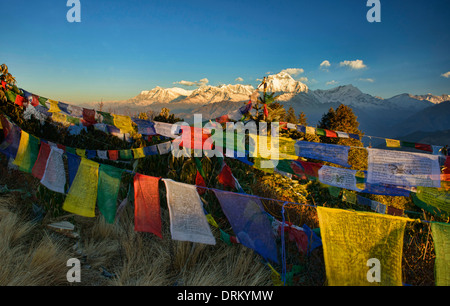 Bandiere di preghiera guardando a Dhaulagiri (8167 metri) in inizio di mattina di luce visto da Poon Hill nella zona di Annapurna del Nepal Foto Stock