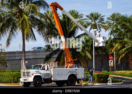 Miami Florida,Aventura,camion,ascensore,secchio,uomo uomini maschio,lavoro,lavoro,lavoro,sostituzione,lampadina,palo luce,FL140122021 Foto Stock