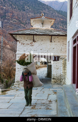 Donna trasporta un carico nel villaggio di Marpha nella regione di Annapurna del Nepal Foto Stock