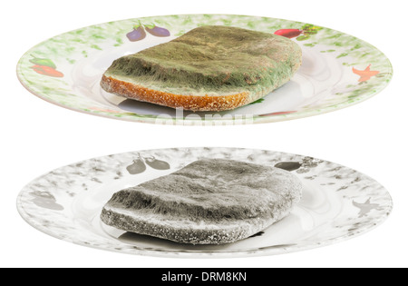 Pane ammuffito o sandwich su una piastra Foto Stock