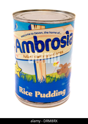 Lo stagno di Ambrosia budino di riso Foto Stock