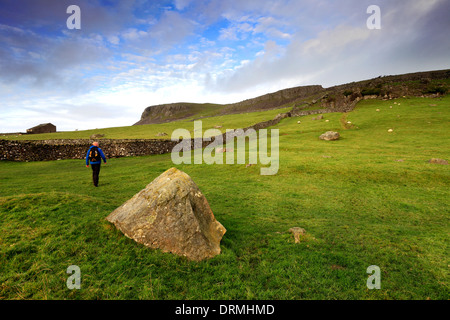 Walker su scale Moor nei pressi del villaggio di Ingleton, Yorkshire Dales National Park, England, Regno Unito Foto Stock