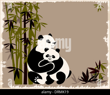 Famiglia di panda nella foresta di bamboo Foto Stock