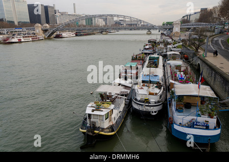 Canal barche ormeggiate lungo il fiume Senna, con Austerlitz il viadotto in background, Paris, Francia. Foto Stock