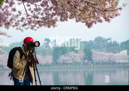 Un fotografo linee fino il suo colpo di Washington DC e la fioritura dei ciliegi in fiore. Foto Stock