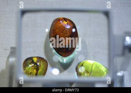 Ambra dominicana con insetti fossili di interno nel museo Mundo del Ambar in Santo Domingo, Repubblica Dominicana. Foto Stock