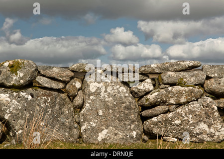 Close-up dettagli di un dry-muro di pietra nel Parco Nazionale di Dartmoor, una zona di aspre brughiere in South Devon, in Inghilterra. Foto Stock