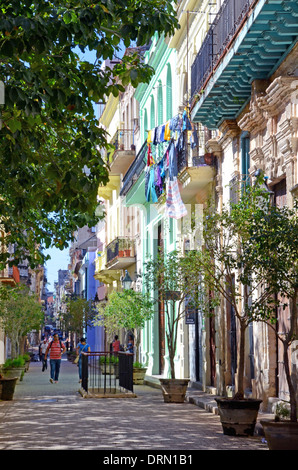 Piuttosto, colorato Strada nella vecchia Havana, Cuba Foto Stock