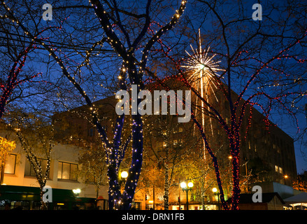 WASHINGTON - alberi decorati con luci natalizie e la Macy Star da Westlake Park nel centro di Seattle. 2013 Foto Stock
