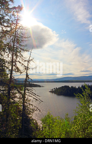 Vista sul fiordo di foresta in estate nel nord della Norvegia Foto Stock