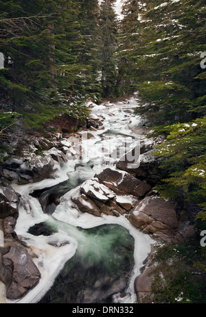 WASHINGTON - piccola cascata su parzialmente coperto di ghiaccio sud Forcella Snoqualmie fiume lungo il Franklin Falls Trail. Foto Stock