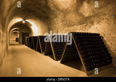 Matusalemme bottiglie di champagne in telai per remuage nelle grotte di Champagne Taittinger a Reims, Champagne-Ardenne, Francia Foto Stock
