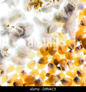 I kernel di popcorn e reso il pop-corn Foto Stock