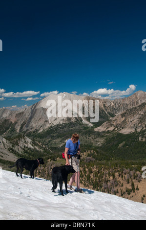 La donna e i cani escursionismo nella nuvola bianca montagne, Idaho (MR) Foto Stock