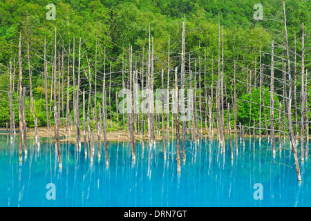 Gli alberi sono stati morti permanente e il blu dell'acqua Foto Stock