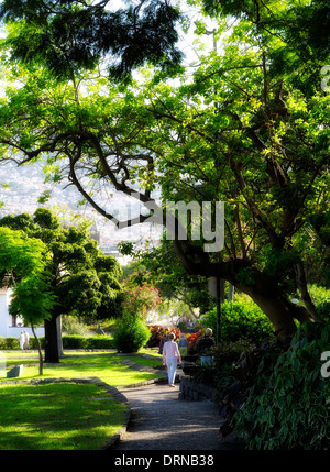 Funchal Madeira Portogallo Parque de Santa Catarina Foto Stock