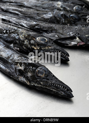 Funchal Madeira Espada Pesci sciabola nel mercato del pesce, Mercado dos Lavradores Foto Stock