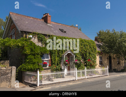 Edera-coperto house di Aughrim, County Wicklow, Repubblica di Irlanda, Europa Foto Stock