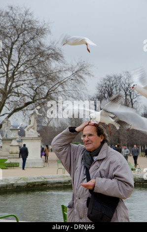 Alimentazione uomo gabbiani nel Giardino delle Tuileries in inverno, Parigi, Francia. Foto Stock