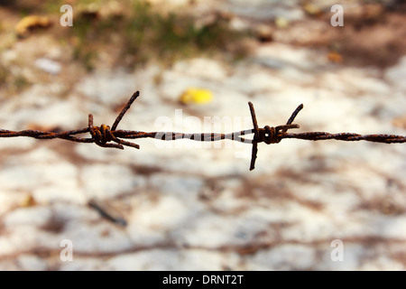 Il close up Rusty filo spinato. (Sicurezza) Foto Stock