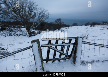 Un recinto e gate coperto di neve al tramonto su Bornholm, l'inverno è finalmente arrivato. Foto Stock