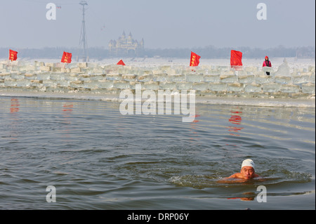 Il ghiaccio nuotatore nuota nelle fredde acque del fiume Songhua, Harbin, Cina. Un buco nel ghiaccio è mantenuto aperto per i nuotatori Foto Stock