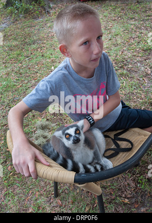 Ragazzo mantiene la sua famiglia lemure pet. Foto Stock