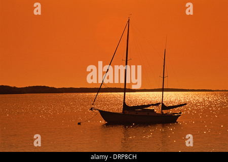 Due alberi a vela stagliano Rising Sun Foto Stock