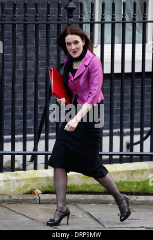 Irlanda del Nord il Segretario Theresa Villiers Foto Stock