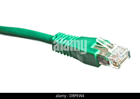 Verde spina di rete isolato su bianco Foto Stock