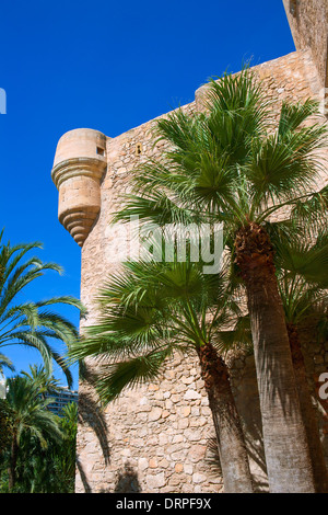 Elx Elche Alicante El Palmeral palme park e Palazzo Altamira in Spagna Foto Stock