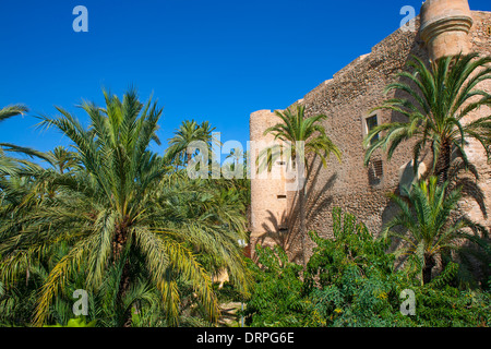 Elx Elche Alicante El Palmeral palme park e Palazzo Altamira in Spagna Foto Stock