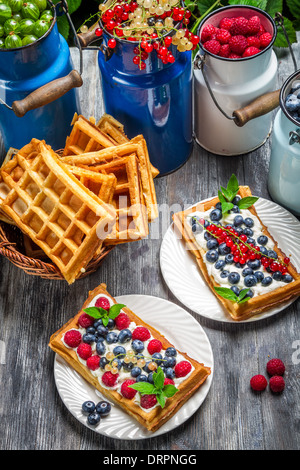 Cialde con raccolti freschi frutti di bosco Foto Stock