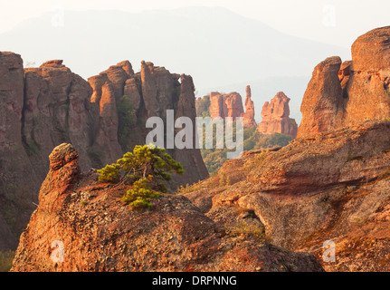 Rocce di Belogradchik a sunrise. La Bulgaria. Canon 5D Mk II. Foto Stock