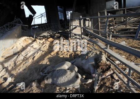 3 aprile 2009 - Beit Lahia, Striscia di Gaza, Territori palestinesi - il bestiame morto sono visto accanto a un edificio distrutto da un Israeliano airstrike in Beit Lahia, nel nord della Striscia di Gaza, il 30 gennaio 2014. Combattente israeliano getti hanno attaccato i siti di formazione di Ezzedine al-Qassam brigate, Hamas ala armata, in Hamas-statuito nella Striscia di Gaza il venerdì mattina, fonti su entrambi i lati di detto, ore dopo un razzo sparato dalla enclave palestinese ha colpito Israele (credito Immagine: © Mohammed Asad/immagini APA/ZUMAPRESS.com) Foto Stock