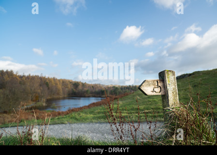 Segno di post che indica il percorso che può essere utilizzato da persone disabili in carrozzina intorno Tarn Hows, Lake District, Inghilterra. Foto Stock